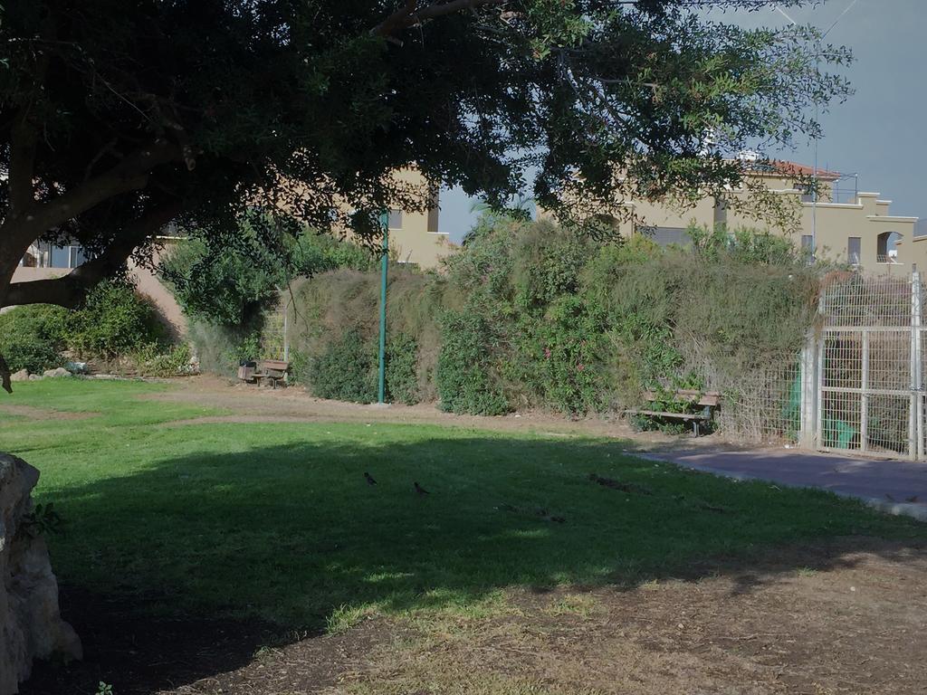 Apartment 2 Bedroom In Atlit, Haifa District
