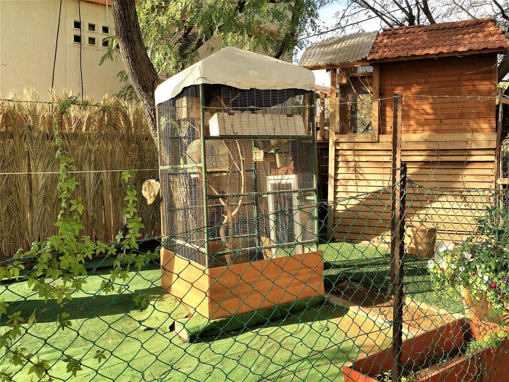 Apartment 2 Bedroom In Atlit, Haifa District Atlit